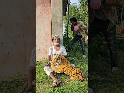 Fake Tiger Scary Prank Gone Wrong – Watch the EPIC Reactions! | Sagor Bhuyan