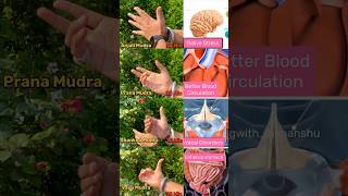 Find Calm & Heal with Hand Mudras #shorts #stressrelief #mudra