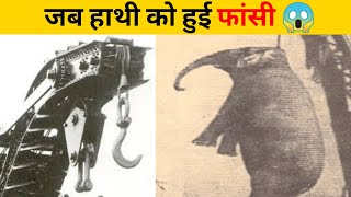 जब हाथी को हुई फांसी 😱 | #shorts #newfactsvideohindi #amazingfactsvideo