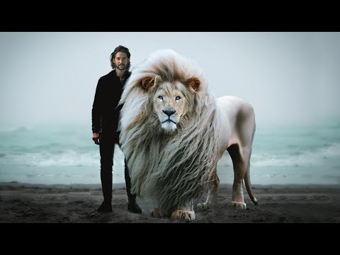 This Is The Most Powerful Lion in the World