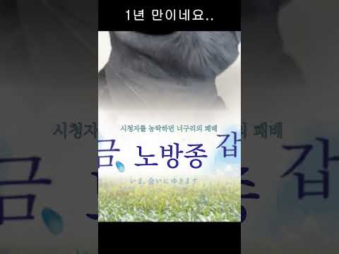 노방종 시작~~합니다