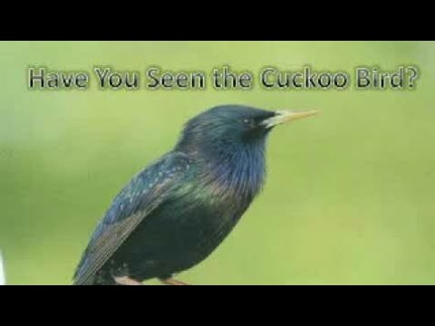 Poem|Have you seen the cuckoo bird?|Explanation