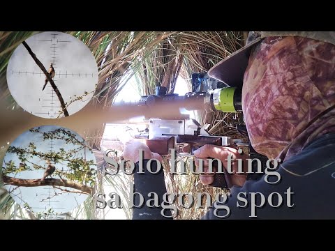 Airgun Hunting PH ep41