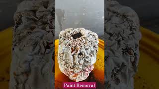 Satisfying Paint Removal Technology😍🥰 #paintremoval #satisfying  #shorts