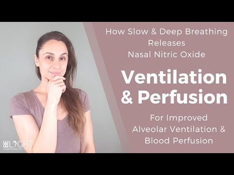 How Slow & Deep Breathing Releases Nitric Oxide for Improved Alveolar Ventilation & Blood Perfusion