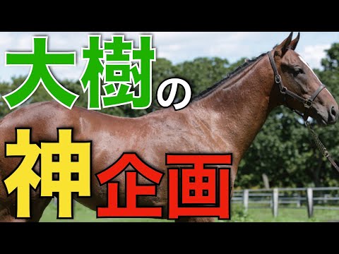 大樹レーシングの募集動画が驚きの内容！競馬ファンなら見逃せない赤裸々トーク。