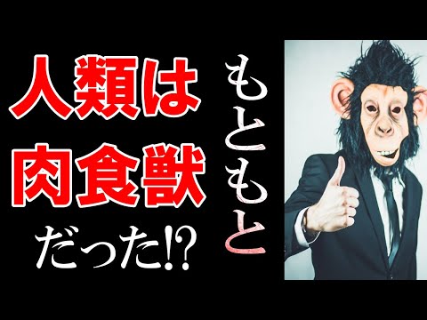 人類は肉食だった？【日常の科学】肝臓による解毒と必要カロリーの話