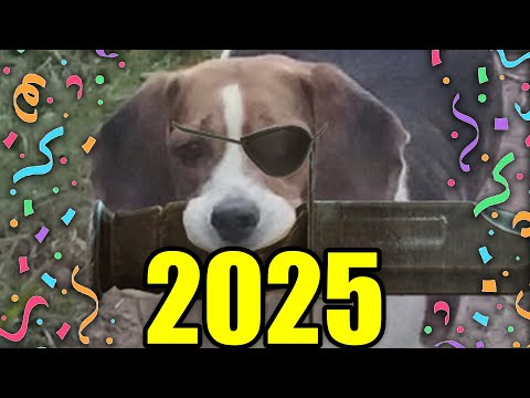 Final Stream of 2024 | Weekly Roundup