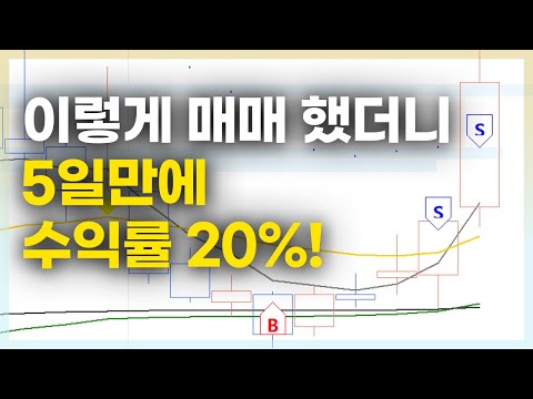 초보 주식매매자라면, 반드시 이렇게 매매하세요 | 돈버는 법