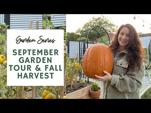 September Garden Tour & MASSIVE Fall Harvest 🍂🌽| GARDEN SERIES