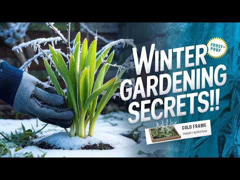 Winter Gardening Tips for Cold Climates: Keep Your Garden Alive Even in the Snow!