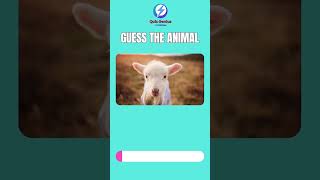 "🔍 Quick Critter Challenge! Guess the Animal in 5 Seconds! #Shorts #AnimalChallenge"