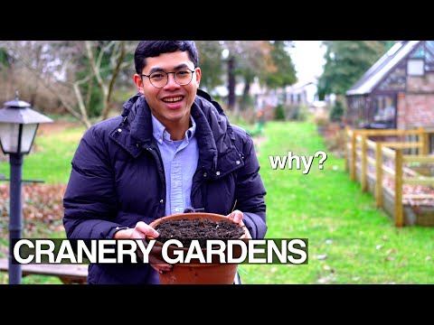 Why Does Gardening Make You Happy?