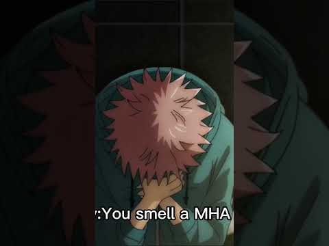 POV: You smell an MHA fan #memes #mha #smelly #pov