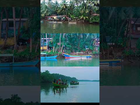 Sharavati Backwater Boat Ride #backwaters #boatrides #honnavar #gokarna #explorepage #explore #yt