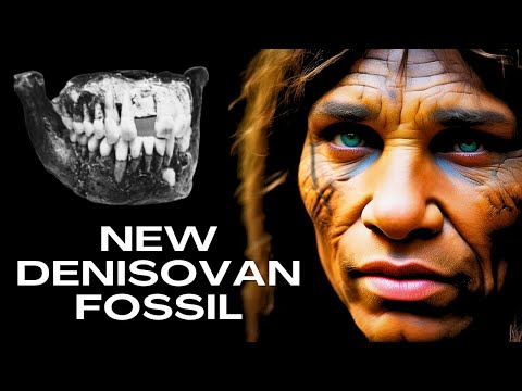 A New Denisovan Fossil Discovered on Tibetan Plateau