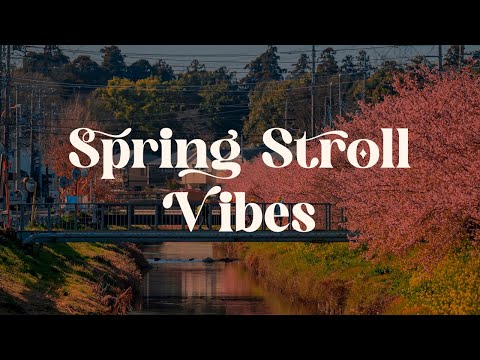 Spring Stroll Vibes 🌸 Japanese Lofi Mix for Relax and Study