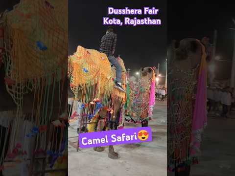 Kota dussehra mela, camel safari ride #camel #safari #shorts