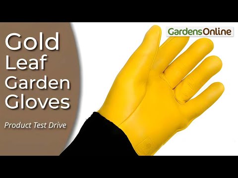 Gold Leaf Gloves - Product Test Drive review