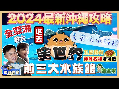 2024沖繩最新🇯🇵【🌟全亞洲最大🪼美麗海水族館🌟】💥8.8米超巨鯨鯊🐋｜❌💰免費🐬海豚表演｜🔥v🔥震憾雙眼｜🥘沖繩名物塔可飯🌶｜🌞熱帶夢幻中心打卡📸🌻｜🚗沖繩自駕遊攻略🛞🛞｜