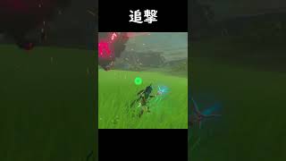 追撃【ゼルダの伝説 ブレスオブザワイルド】