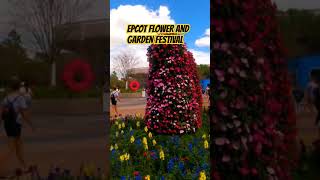 Epcot Flower and Garden Festival