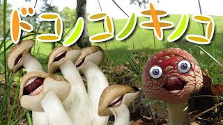 キノコが踊る！ドコノコノキノコ【おかあさんといっしょ】