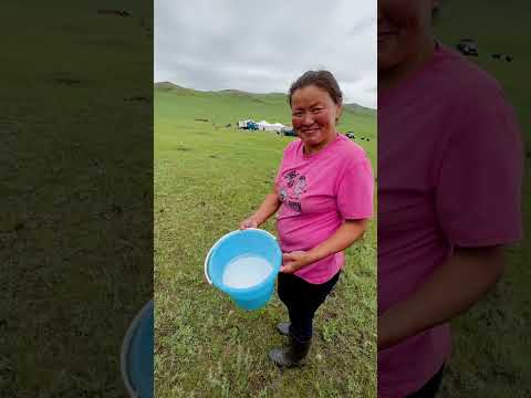 TRIP WRAP-UP VIDEO: Our July tour to Mongolia was a wonderful journey!