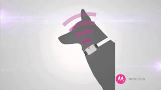 Motorola Bark 200U Anti Bark Collar (Bark Deterrent)