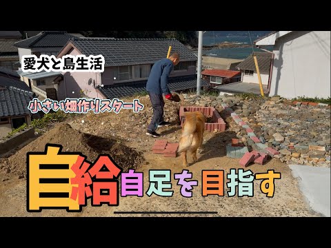 【愛犬と島暮らし】小さな畑作りからスタート