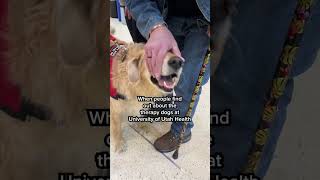 Meet our Heartwarming Therapy Dogs! #uofuhealth #therapydog #hospitalcare #dogshorts #mentalhealth