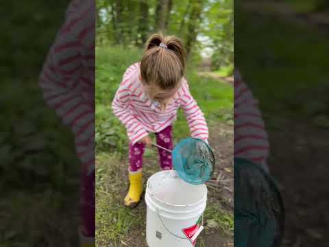 Nature kids.