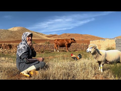 Living the Simple Life: Discover Iran’s Remote Villages