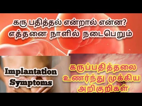 when baby implant after ovulation in tamil | pregnancy symptoms in tamil | early pregnancy