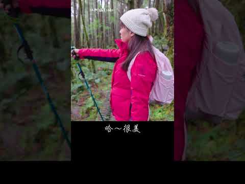 奧陶紀苔蘚區 #taiwan