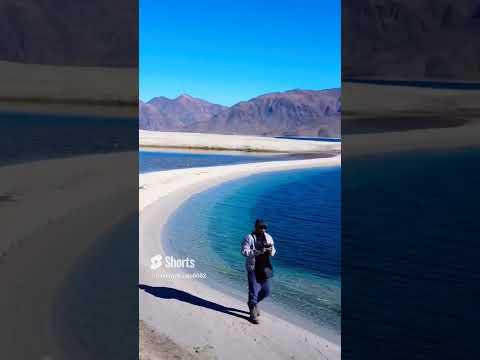 trip to pangong lake #shorts