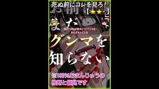 【★★・】お前はまだグンマを知らない【#死ぬ前にコレを見ろ レビュー あらすじ】