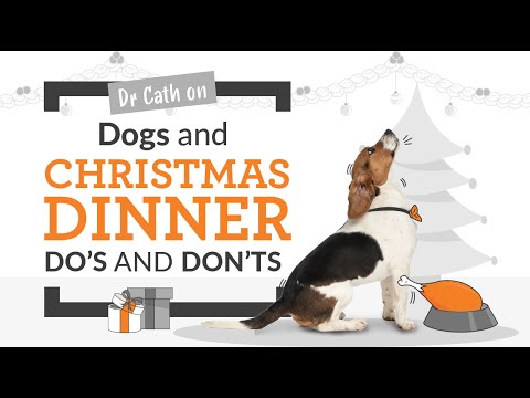 Christmas Dog Food Dangers: Dr Cath Explains