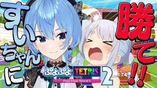 【ぷよテト2】星街すいせいにテトリス勝ったら告知！！！！！！！！！！！ぺこ！【ホロライブ/兎田ぺこら】