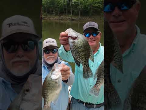 Big Bites: Crappie Fishing Among Tree Branches