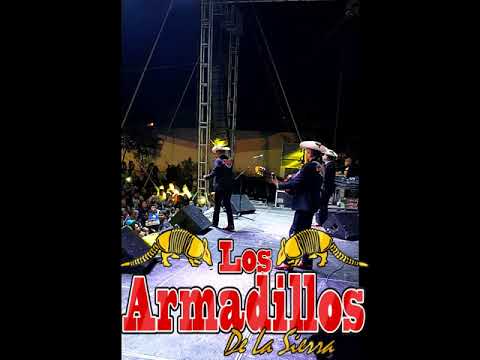 Todos Menos Tu - Los Armadillos de la Sierra EN VIVO