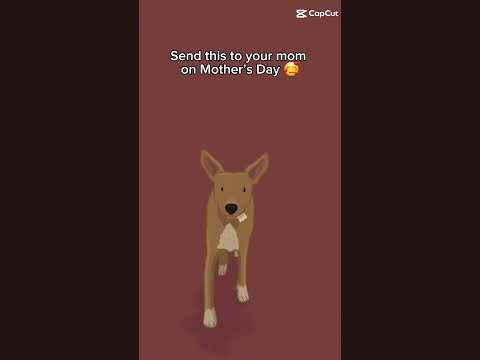 #dog #mothersday #love #mom #shorts #fyp