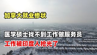 加拿大就业惨状，医学硕士找不到工作只能做服务员，工作被印度人抢光了，程序员也找不到工作