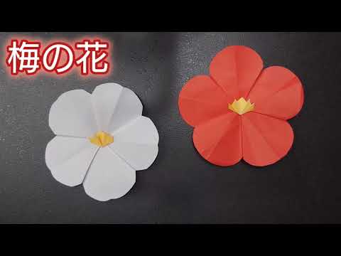 【折り紙】お祝い事に使える『梅の花』の折り方　Origami How to make a Plum Blossom