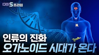 [다큐S프라임] 차세대 바이오 핵심 기술, 오가노이드 .. 국내 오가노이드 기술력은? / YTN 사이언스