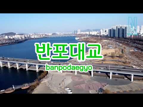 #반포대교 작곡가정음님 신곡 고 손정민군 추모공유