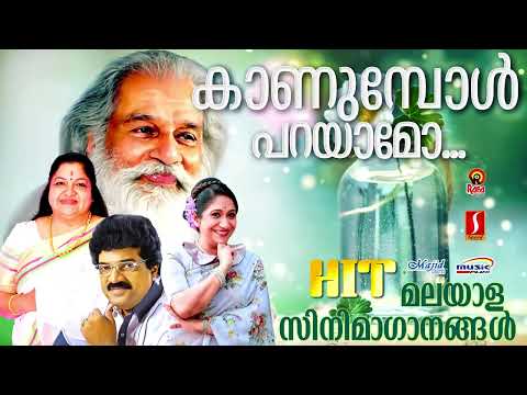 കാണുമ്പോൾ പറയാമോ..| കെ ജെ യേശുദാസ് | K S Chitra | Sujatha Mohan | മലയാളചലച്ചിത്രഗാനങ്ങൾ