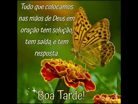 Mensagem Boa tarde! Feliz Sábado! 🙏🙌🌻