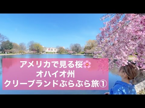 【クリーブランド①】アメリカ週末プチ旅行｜クリーブランドぶらぶら旅、美術館とボタニカルガーデンを散歩する｜アメリカで見る、桜の風景｜アメリカの休日の過ごし方｜