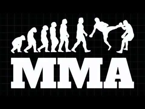 🚨!!! 30 Greatest Mix Martial Artists of All Time🚨!!!